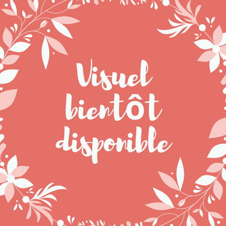 Salons du mariage à La Rochelle 2026–27 | DRIVESHARE